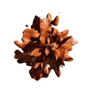 Wood Acajou